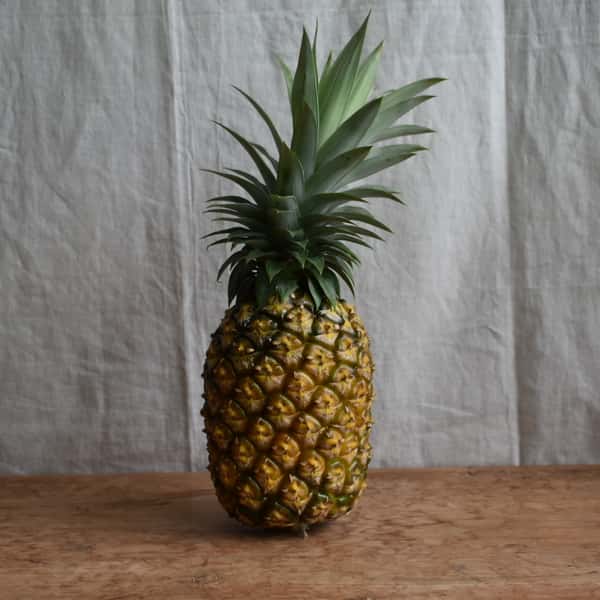 芳醇な香りと上品な甘み＜ゴールドバレル＞沖縄で有機JAS認証の完熟果実