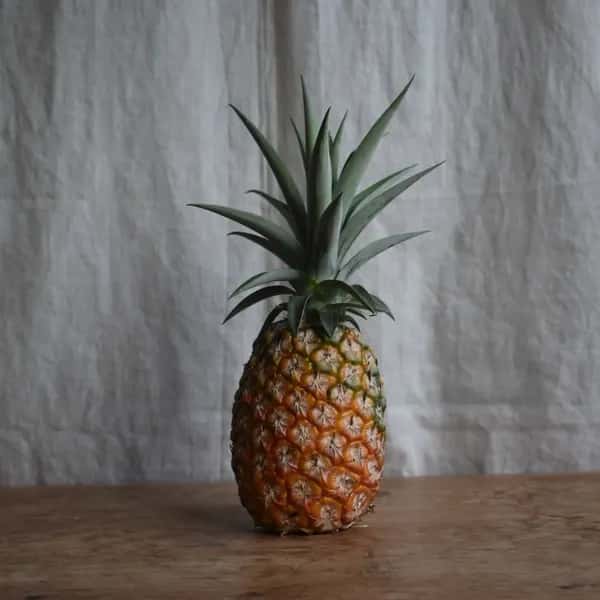 甘み際立つシャクシャク食感＜サンドルチェ＞沖縄で有機JAS認証の完熟果実