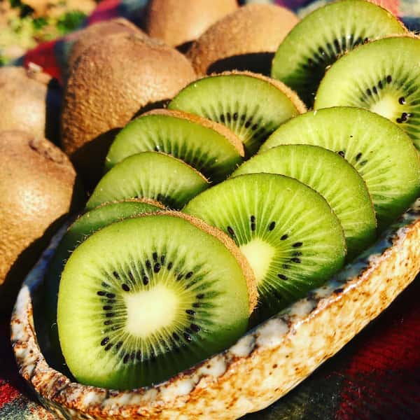 無農薬無肥料栽培　キウイフルーツ