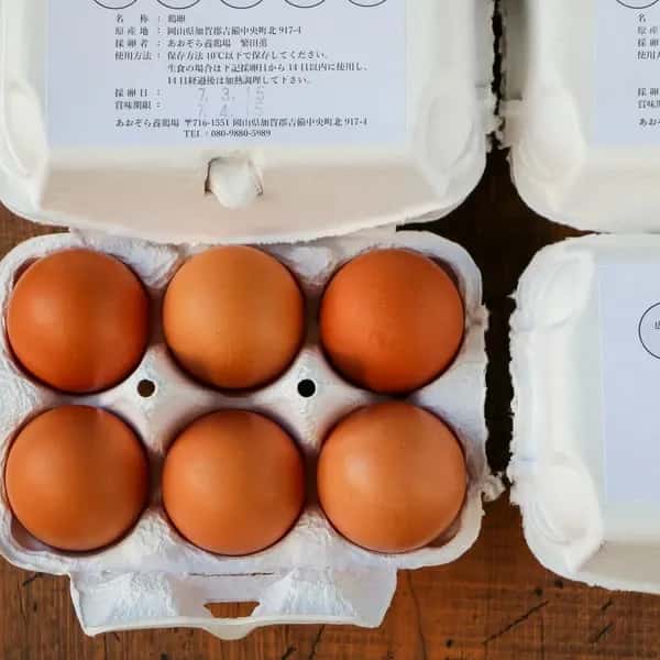 【とれたて純国産平飼い自然卵（有精卵） ｜3日以内に発送可】完全自家配合！全て国産・添加物／保存料不使用｜大自然の恵みをそのまま提供