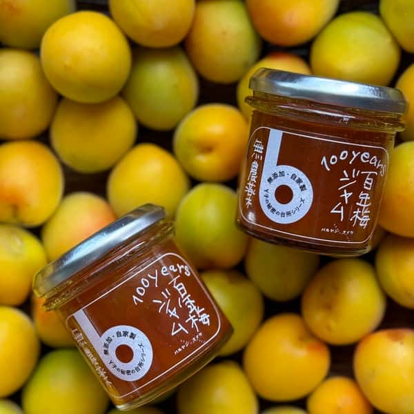 百年梅ジャム　無添加　無農薬　梅　ジャム　バルヤンナイク