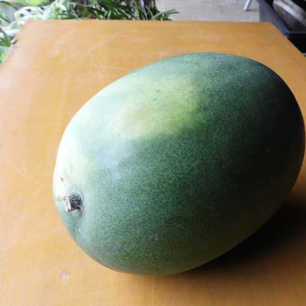 自然農　冬瓜