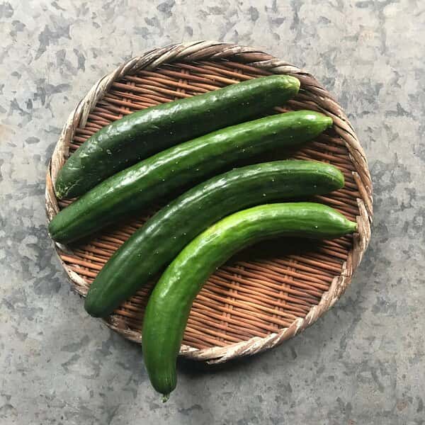 無農薬・無化学肥料で育てた＜きゅうり＞自然栽培だからこそ感じられるみずみずしい歯ごたえと爽やかな味わい