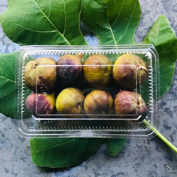 自然農で育てた旬の甘み＜いちぢく＞農薬・化学肥料不使用