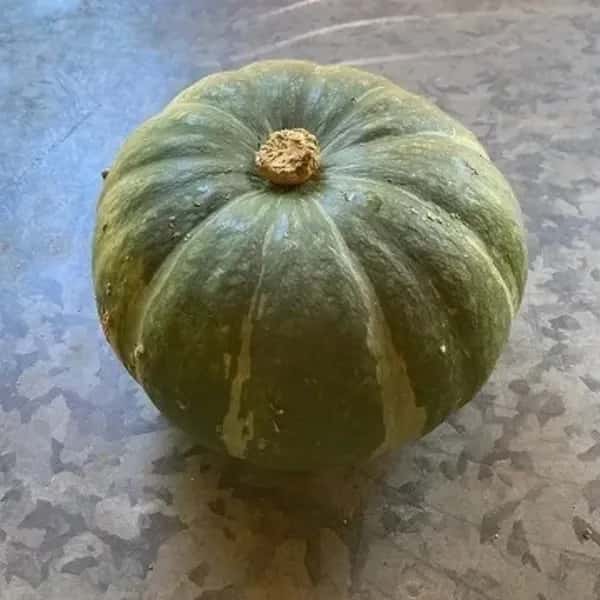 無農薬・無化学肥料栽培＜かぼちゃ＞甘みとほくほく食感