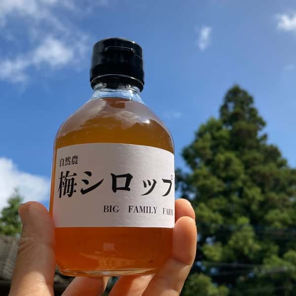 無農薬・無化学肥料【梅シロップ】水割り・ソーダ割り・かき氷など