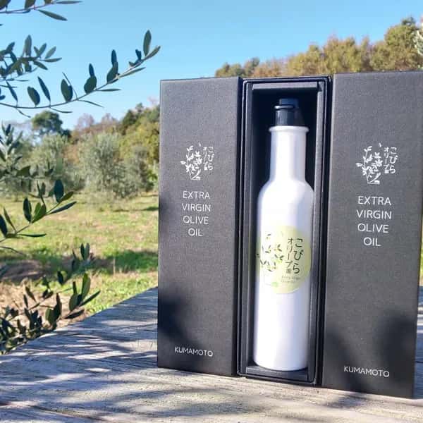 EXVオリーブオイル 自然栽培熊本県天草産・減農薬栽培熊本県菊陽町産