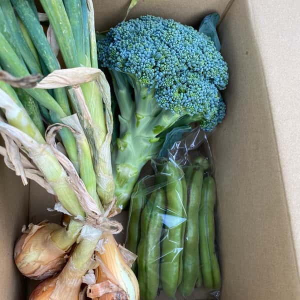 完売御礼　2024【初夏】旬の野菜セット