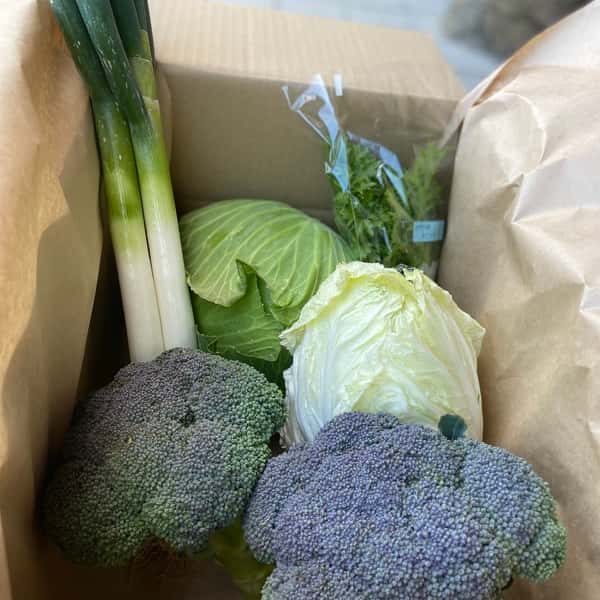 【義援金】2024　旬の野菜セット