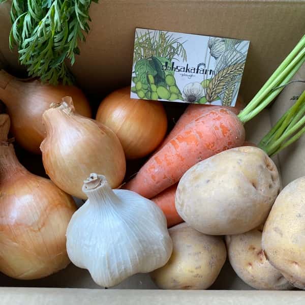 2024【夏】無農薬　旬の野菜セット