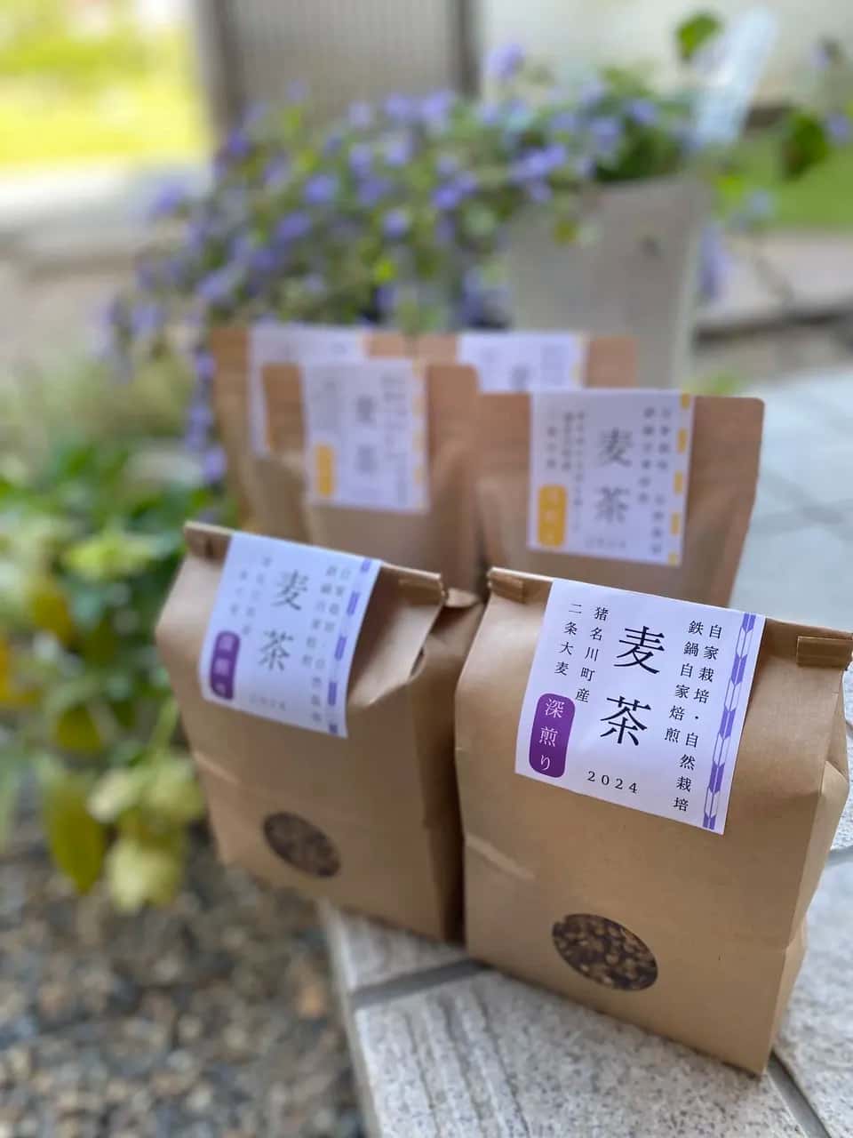 お茶ギフト 背景
