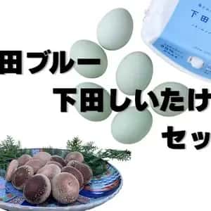 【母の日ギフト】 幸せの青い卵「下田ブルー」＆「下田しいたけ」セット