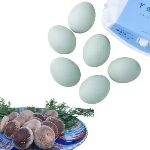 【母の日ギフト】 幸せの青い卵「下田ブルー」＆「下田しいたけ」セット