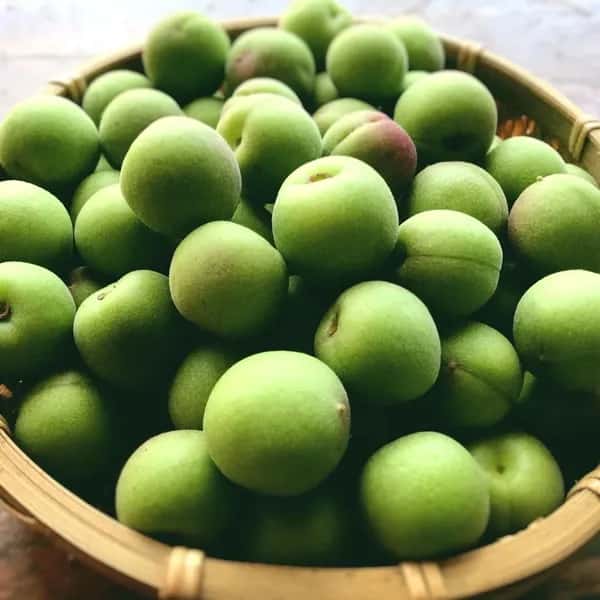 自然栽培の梅(小梅)　2kg