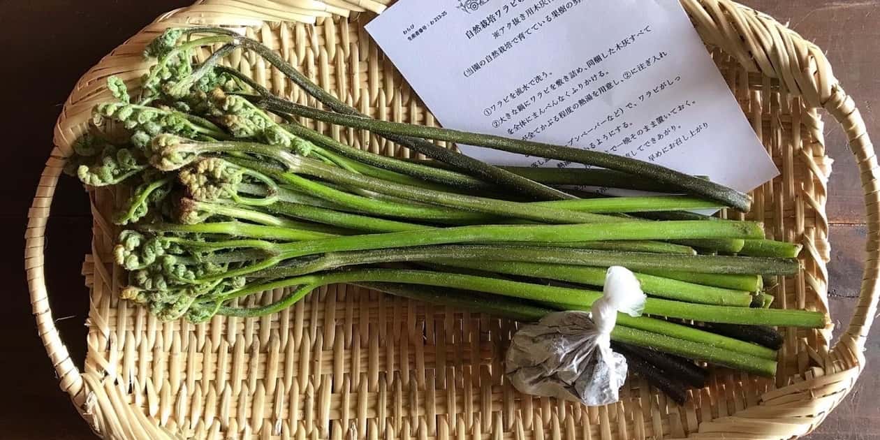 常温一覧 背景