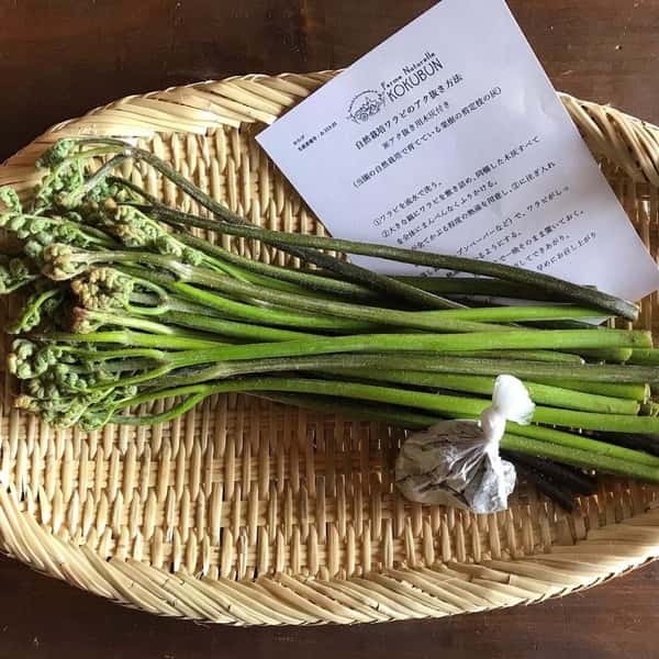 自然栽培のワラビ（アク抜き用木灰付）と自然栽培の蕗（ふき）