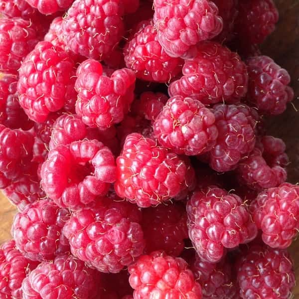 自然栽培のフランボワーズ（冷凍ラズベリー）