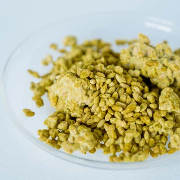 麦麹　農薬・化学肥料不使用大麦×天然麹菌(野生麹菌)