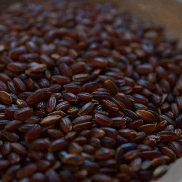 【限定醸造】恵み　赤米みそ(※玄米みそ)　農薬不使用×天然麹菌(野生麹菌)　1kg袋入り