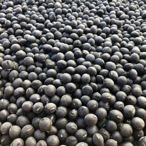 【令和7年産】自然栽培「丹波種黒大豆」（静岡県産）