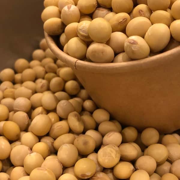 【令和7年産】自然栽培「ふくゆたか大豆」（静岡県産）