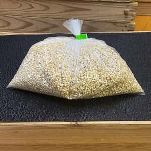 限定生産＜発芽玄米麹（生麹）＞大分県宇佐市産の自然栽培の玄米で手作り製法