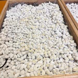 【自然栽培大豆使用】大地の実り 豆麹（まめこうじ） 500g