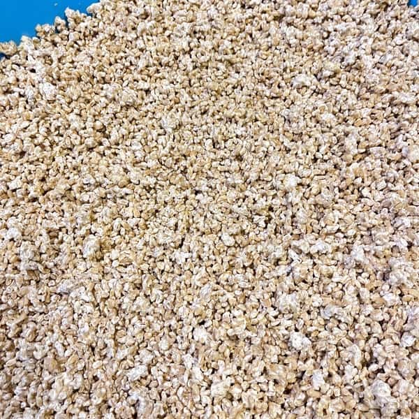 【超希少】自然栽培「キラリモチ」大麦麹 | 少量のみ限定販売。やさしさが凝縮した、極上の生麹。