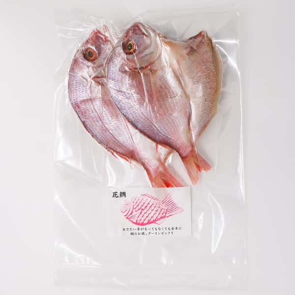 小田原水揚げ 花鯛真空パック