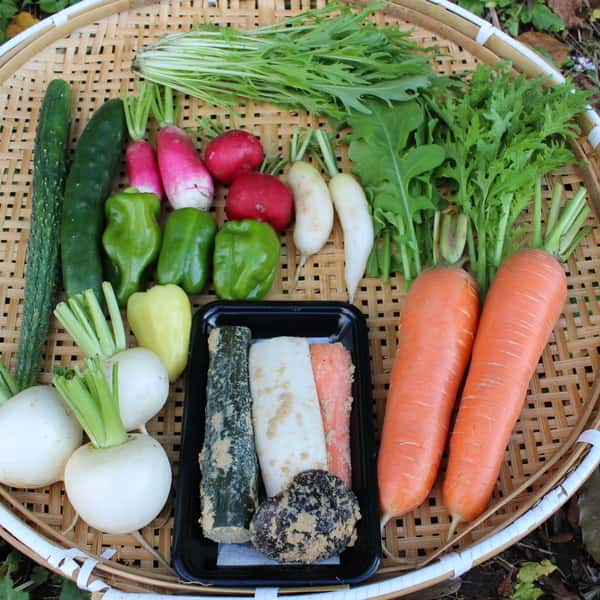 秋冬お任せ野菜セット＋ぬかごと食べれるぬか漬けお任せ4種セット