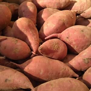 自然栽培/自然乾燥〈べにはるか〉大分県産さつまいも