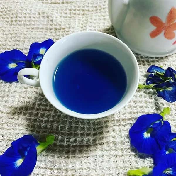 《農薬・肥料不使用》バタフライピーの青いお茶