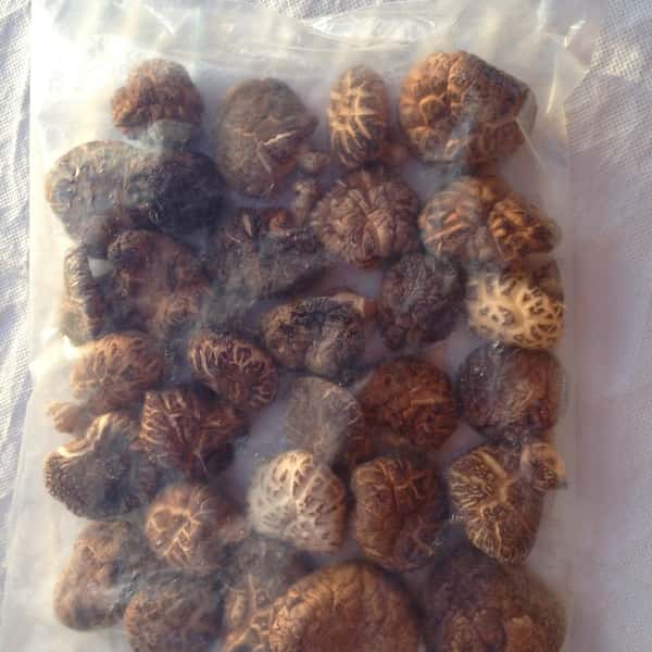 完全天日干し 干し椎茸 冬枯