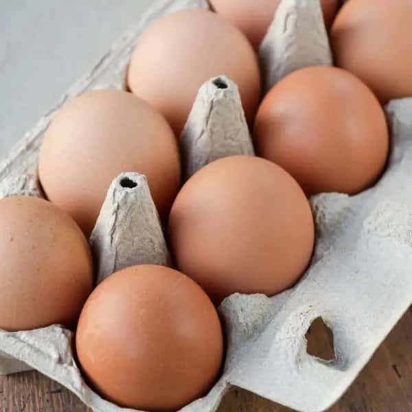 「やまたま」 平飼い有精卵