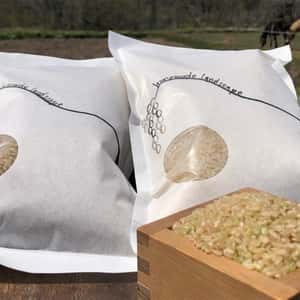 【令和7年度産】 馬耕米「ゆきひかり」北海道産（玄米・7分づき・白米/1kg/3kg/5kg）農薬・化学肥料不使用