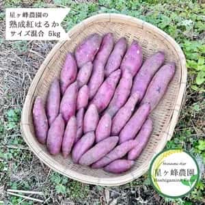 令和7年産・南阿蘇産【熟成紅はるか】 (農薬・化成肥料・除草剤・堆肥不使用栽培）