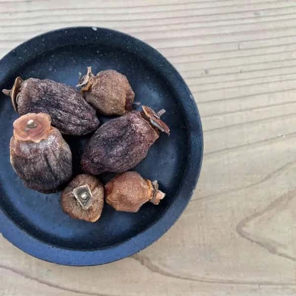 自然栽培の渋柿で作った干し柿　【農家の手仕事】ギフトにも