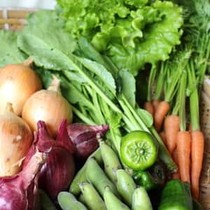 季節のおまかせ自然農野菜セット