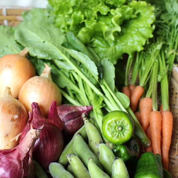 季節のおまかせ自然農野菜セット