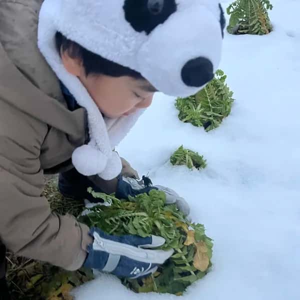 雪で旨み凝縮‼︎ねぎ、大根セット（化学肥料•農薬不使用）お鍋に、薬味に、サラダに、煮物に、漬物に‼︎