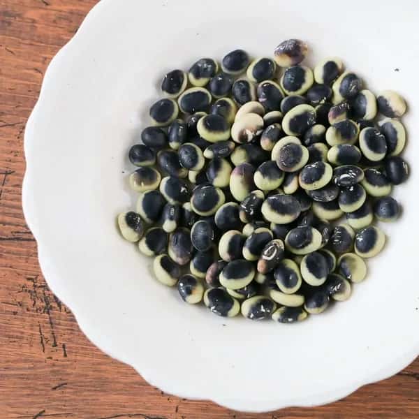 信州の伝統野菜【鞍掛豆】（海苔風味の大豆）｜農薬・肥料・除草剤不使用