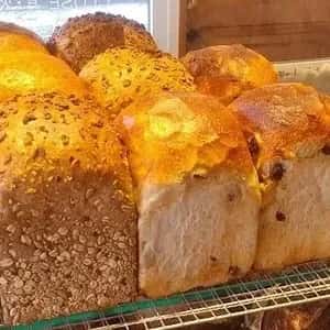 国産小麦の石窯パン＜全粒食パン、雑穀食パン、有機レーズン食パン＞表面パリッと中はもっちり