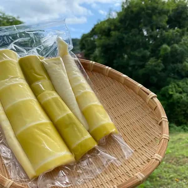 【自然栽培】朝掘りタケノコの水煮（真竹）