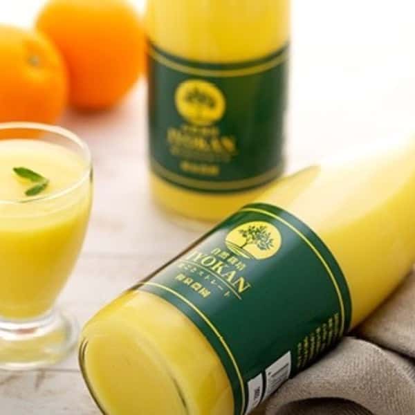 IYOKAN皮ごとストレートジュース  2026年産 愛媛県産 宮内いよかん 自然栽培 伊予柑ジュース 果汁100％