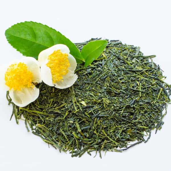 深蒸し茶＜飲み比べセット＞無農薬・無化学肥料栽培茶