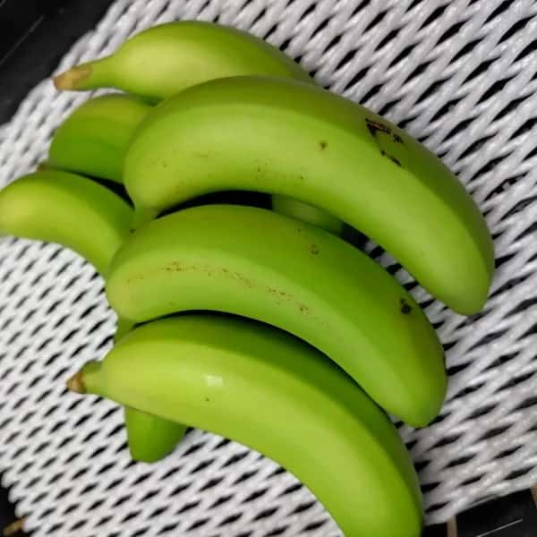 農薬不使用で皮まで食べられる金太郎バナナ＜青バナナ・訳あり品＞神奈川県産グロスミッシェル