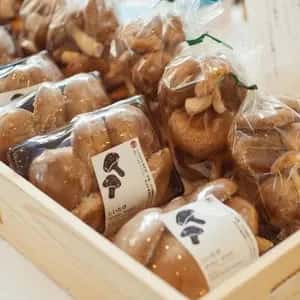 農薬・化学肥料不使用、自然栽培＜阿波の玉手箱（極旨椎茸）＞お野菜と平飼たまご。徳島のおいしいもの詰め合わせ【ただいま葉物中心・小さめ人参入ります】