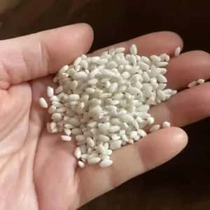 【送料一律600円】農薬・化学肥料不使用　自然栽培＜令和7年産　天日干し・もち米　滋賀羽二重糯＞