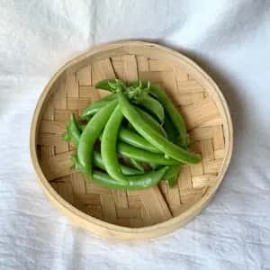 鹿児島坊津で農薬・肥料不使用＜自然栽培のスナップエンドウ＞甘い春の味