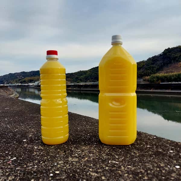 無農薬ゆずを皮ごと搾った＜ゆのす＞高知県産・農薬不使用の柚子果汁100％